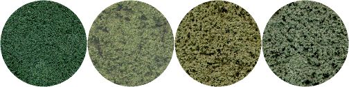 Turf Foliage