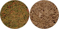 Turf Foliage