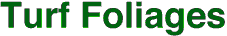 Turf Foliages